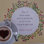 Bed & Breakfast Il Cedro Salve