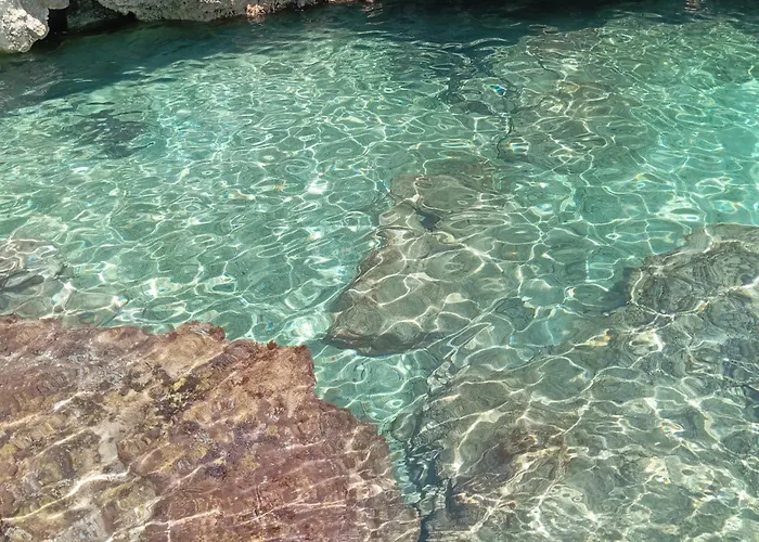 Il Cedro 住宿加早餐酒店