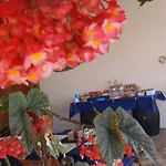 Couette-café Il Cedro 4*
