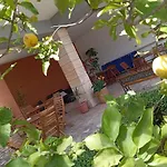 Il Cedro