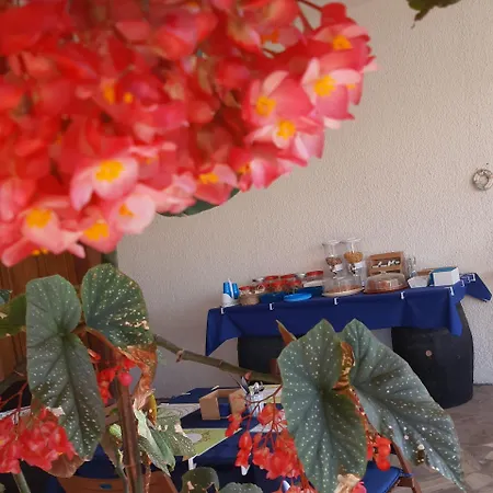 فندق مبيت وإفطار Il Cedro 4*