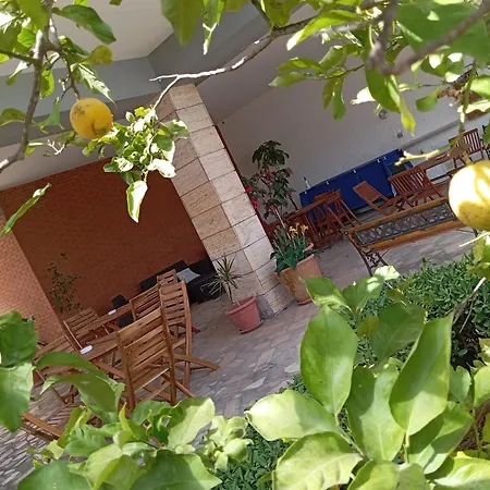Il Cedro