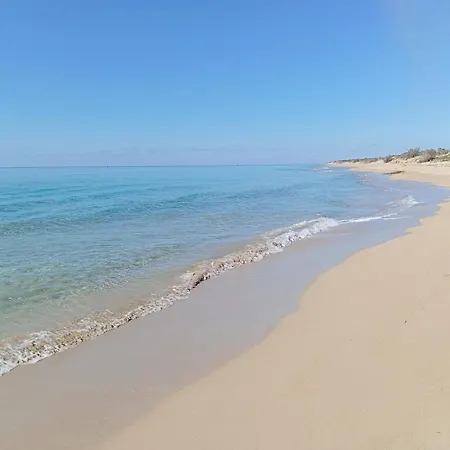 לינה וארוחת בוקר Il Cedro 4*