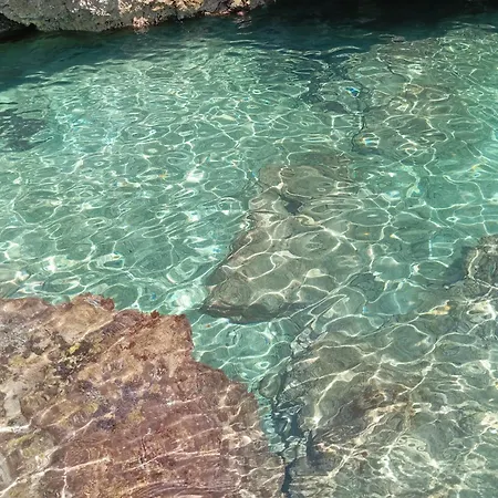 Il Cedro Bed & Breakfast