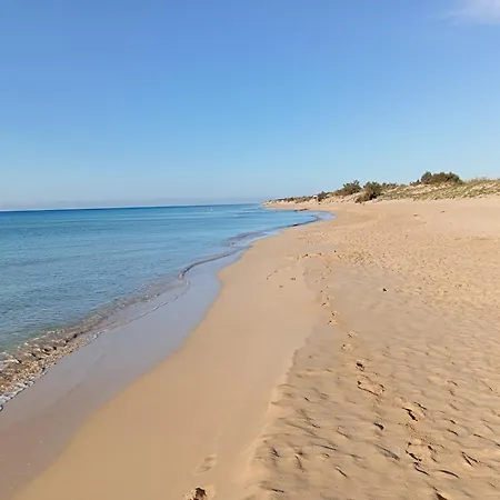 לינה וארוחת בוקר Il Cedro 4*