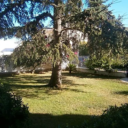 Il Cedro 4*