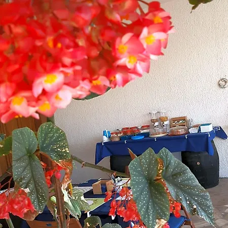 Il Cedro Nocleg ze śniadaniem 4*