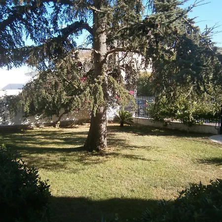 Bed & Breakfast Il Cedro