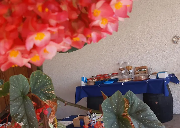 Frühstückspension Il Cedro 4*